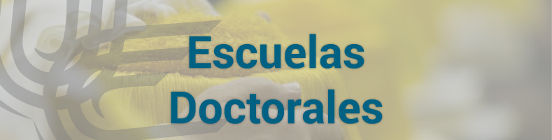 fueca-detalle-doctorales